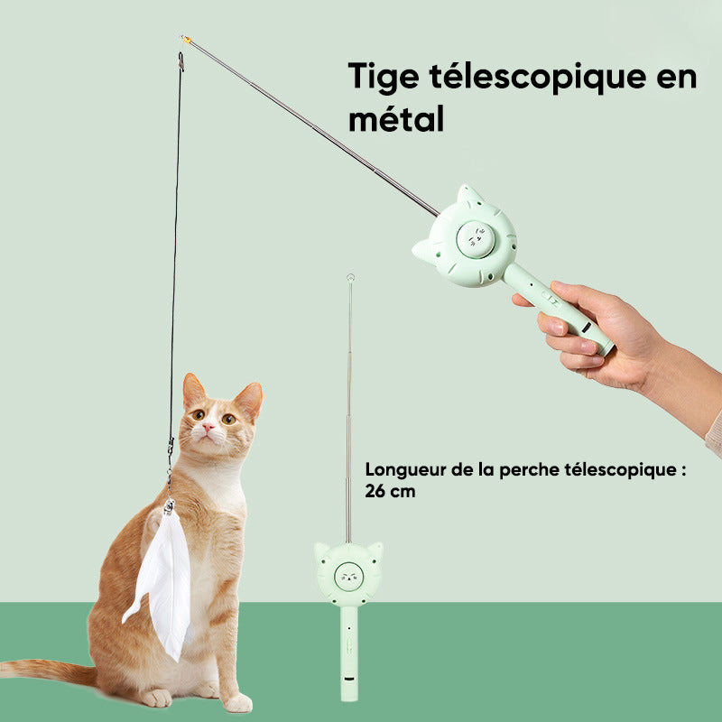 Peigne multifonctions pour animaux de compagnie