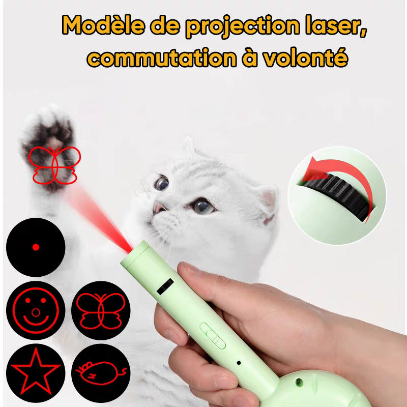 Peigne multifonctions pour animaux de compagnie