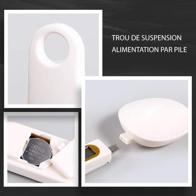 Ornerlavie™ Cuillère à Mesurer Électronique