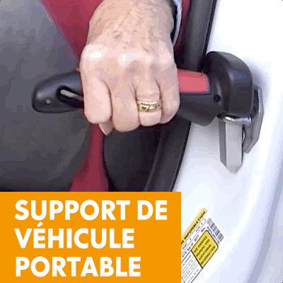 La Poignée De Soutien CaneCare